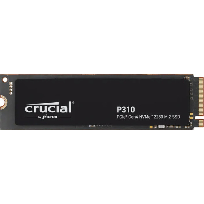 Crucial - CT1000P310SSD8 - התמונה להמחשה בלבד