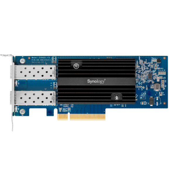 Synology - E10G21-F2 - התמונה להמחשה בלבד