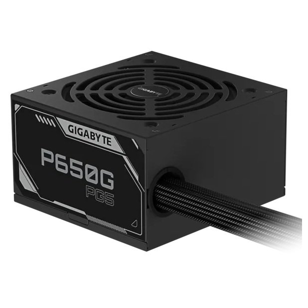 Gigabyte - GP-P650G-PG5 - ������ ������ ����