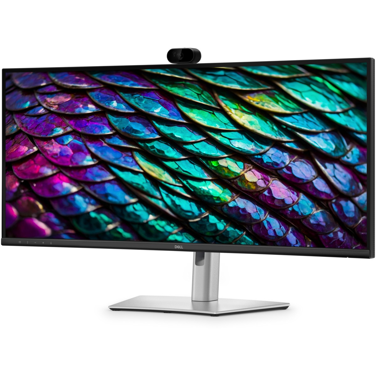 DELL - P3426WEB - ������ ������ ����