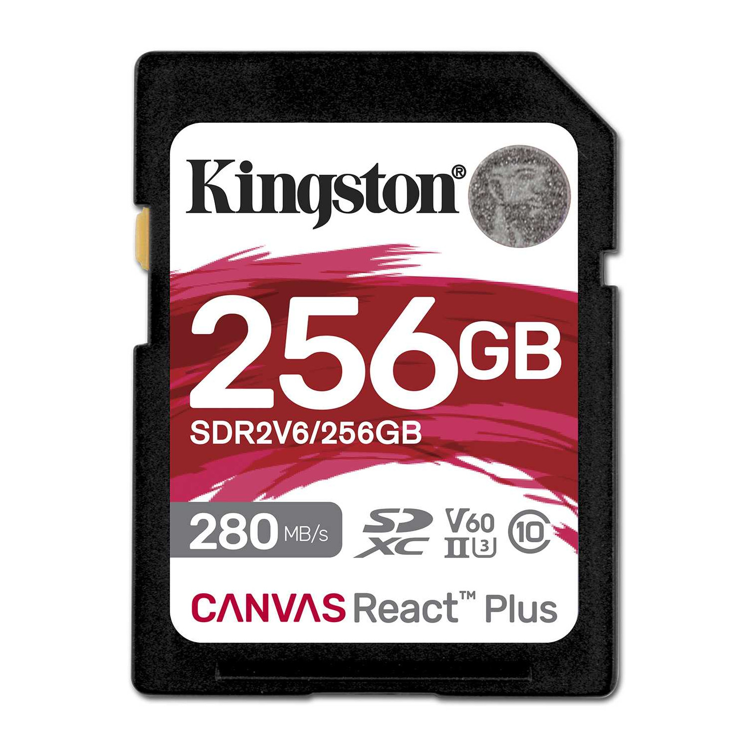 Kingston - SDR2V6-256GB - התמונה להמחשה בלבד