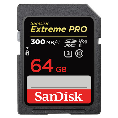 SANDISK - SDSDXDK-064G-GN4IN - התמונה להמחשה בלבד