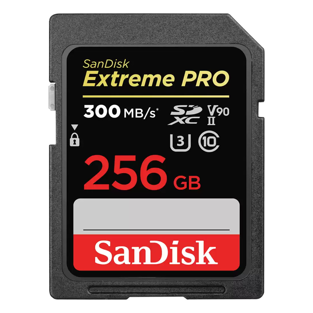 SANDISK - SDSDXDK-256G-GN4IN - התמונה להמחשה בלבד