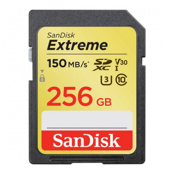 SANDISK - SDSDXV5-256G-GNCIN - התמונה להמחשה בלבד