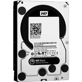 Western Digital - WD1003FZEX - התמונה להמחשה בלבד