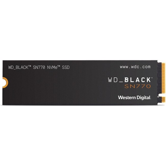 Western Digital - WDS100T2X0E -   